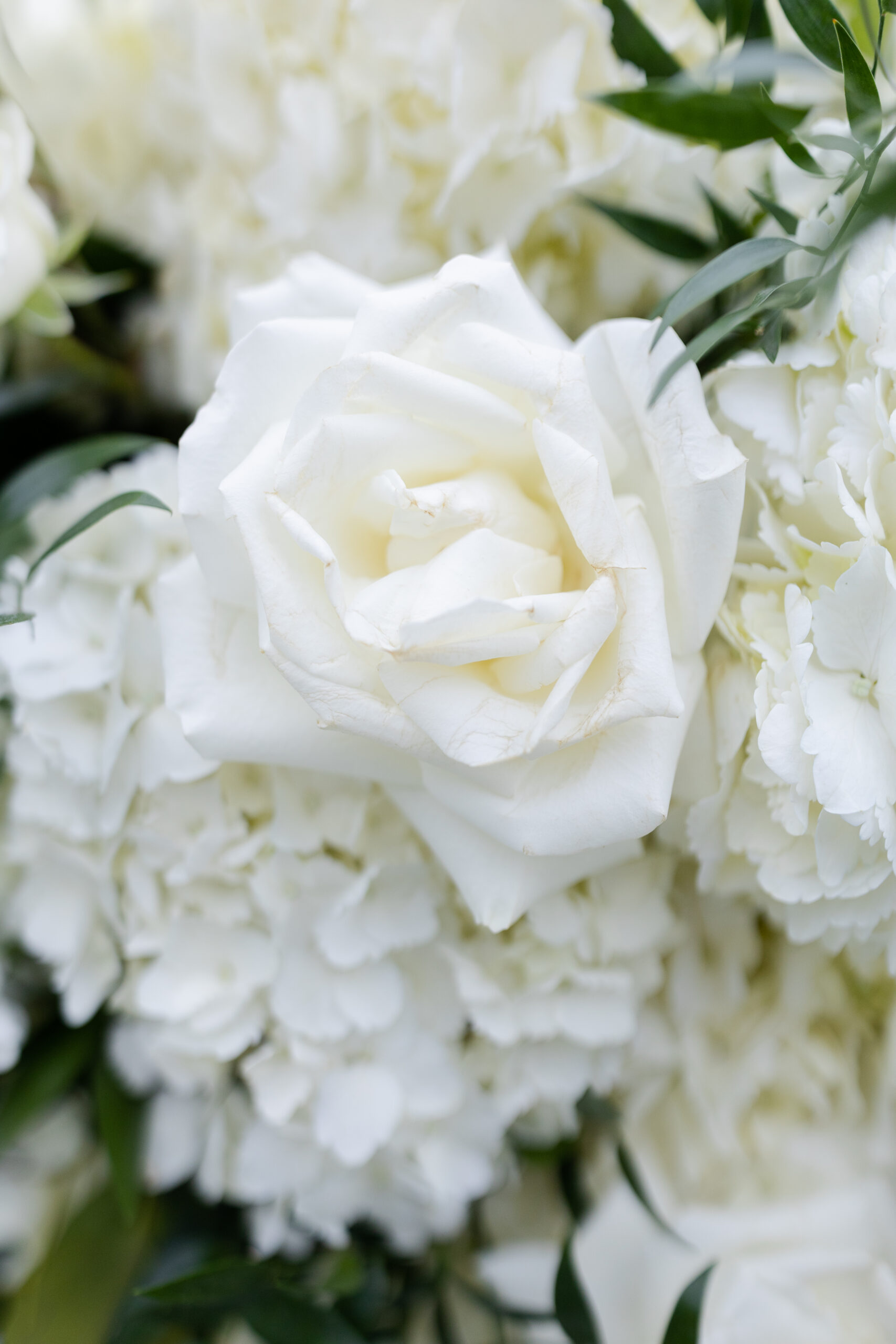 Wedding Ceremony Details_White Flowers