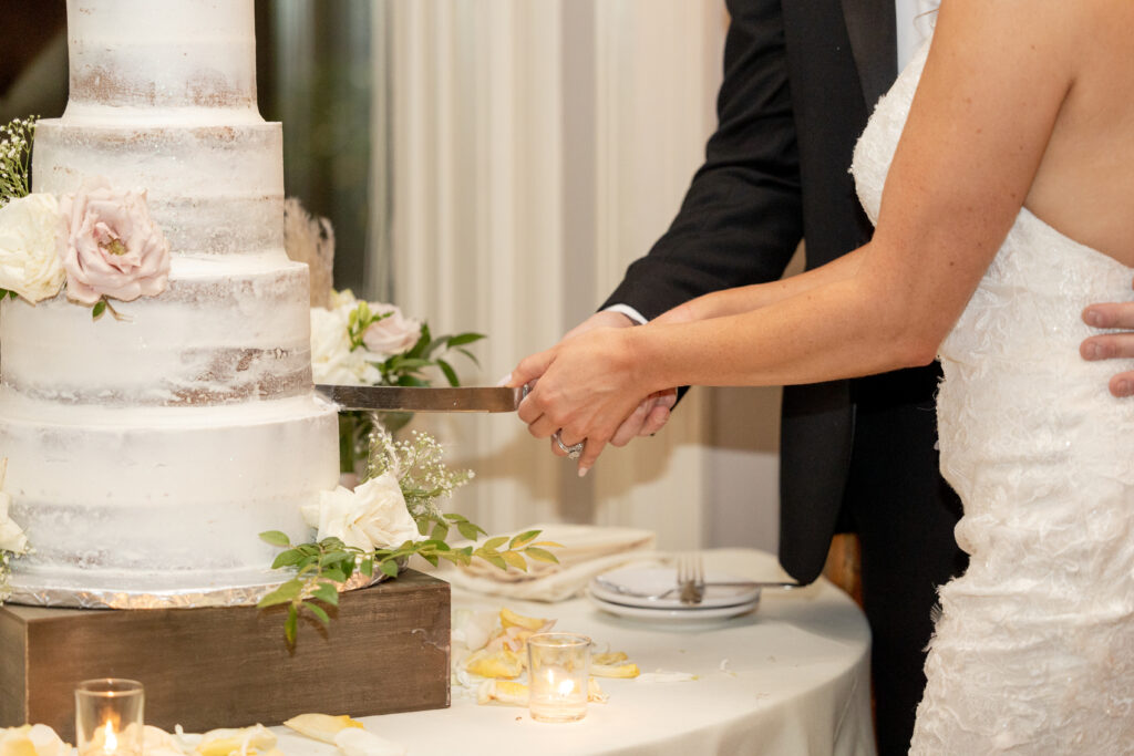 Bride and groom cake-cutting in wedding reception