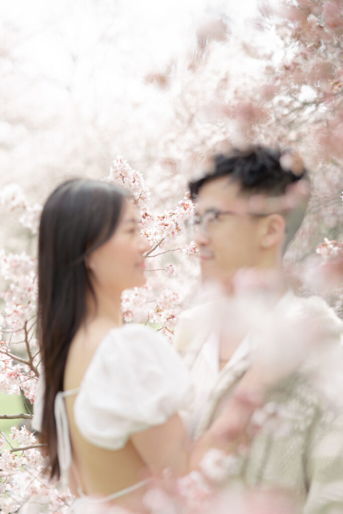 Cherry Blossom Photos at The Pilgrim Hill