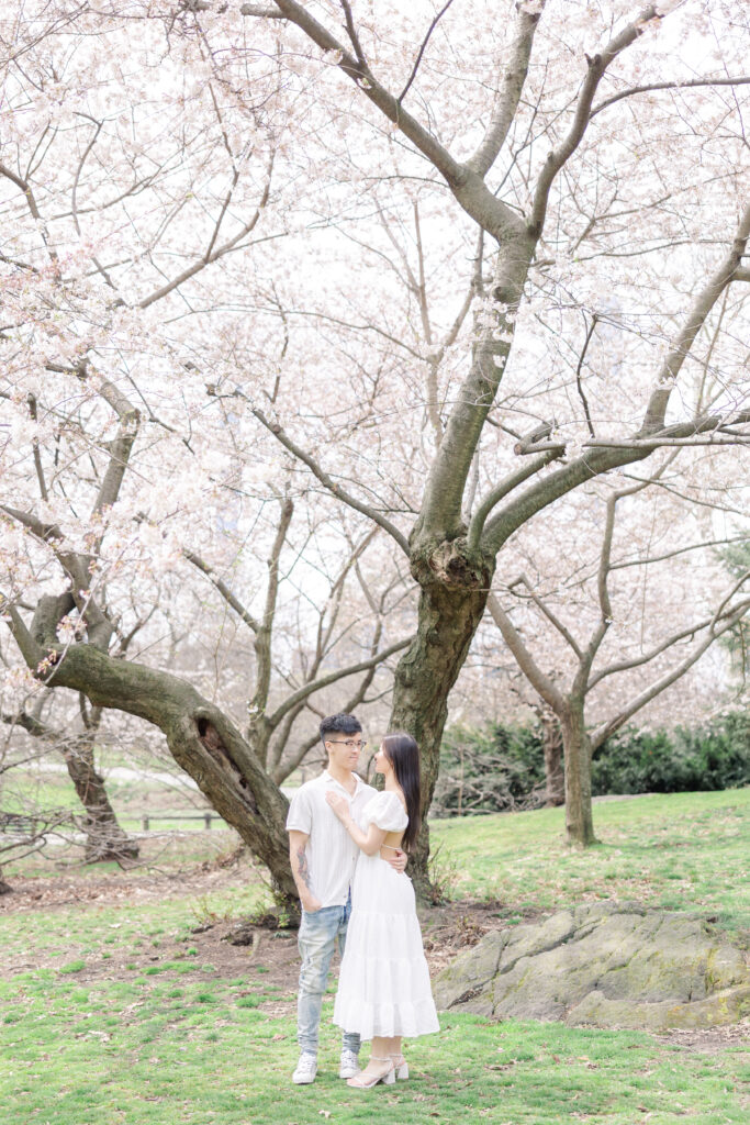 Couple In front of Cherry Blossom Photos at The Pilgrim Hill