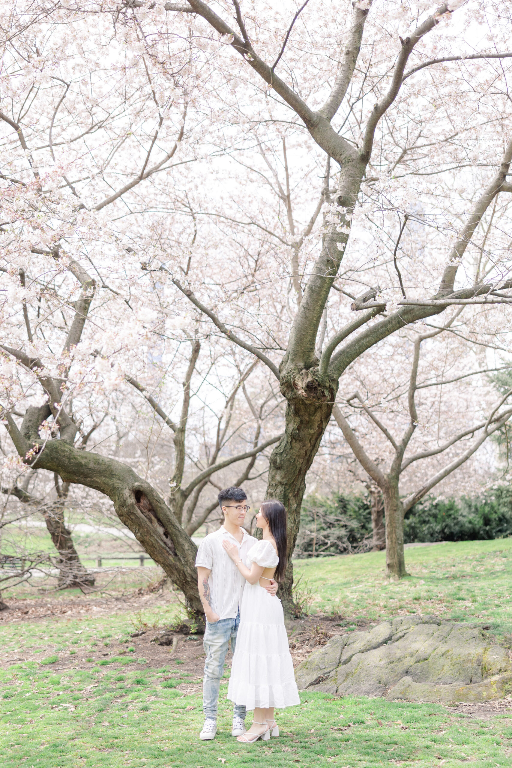 Romantic cherry blossom engagement session NYC sunrise