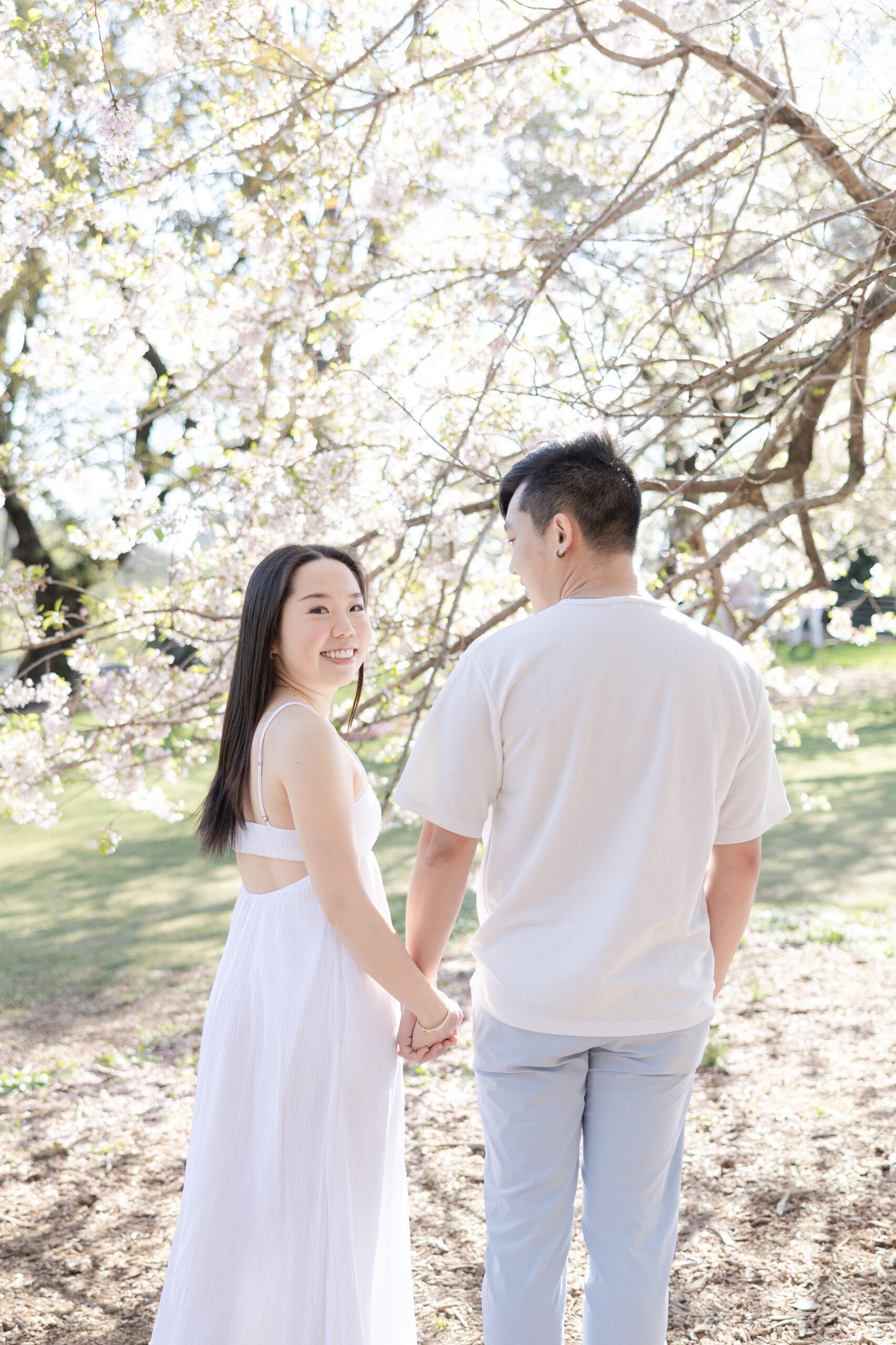 Spring engagement photos with cherry blossoms of couple