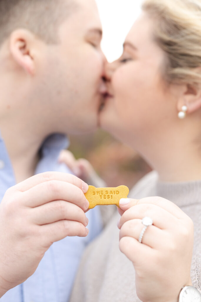 LIC Surprise Proposal at Gantry Plaza State Park