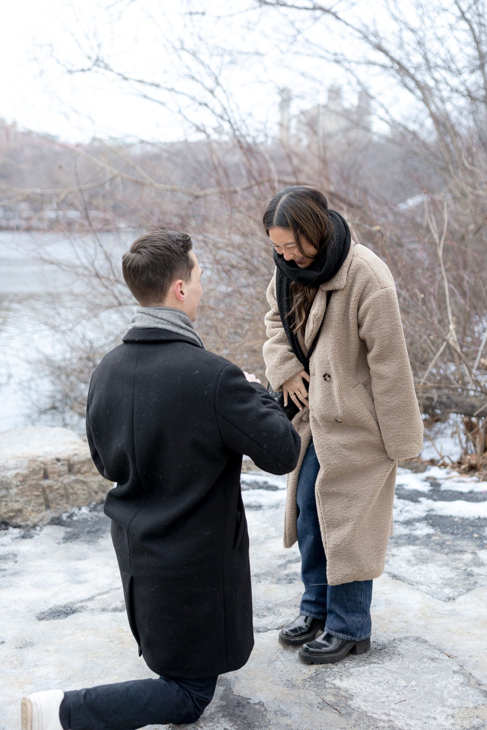 Central Park proposal with girlfriend engagement reaction