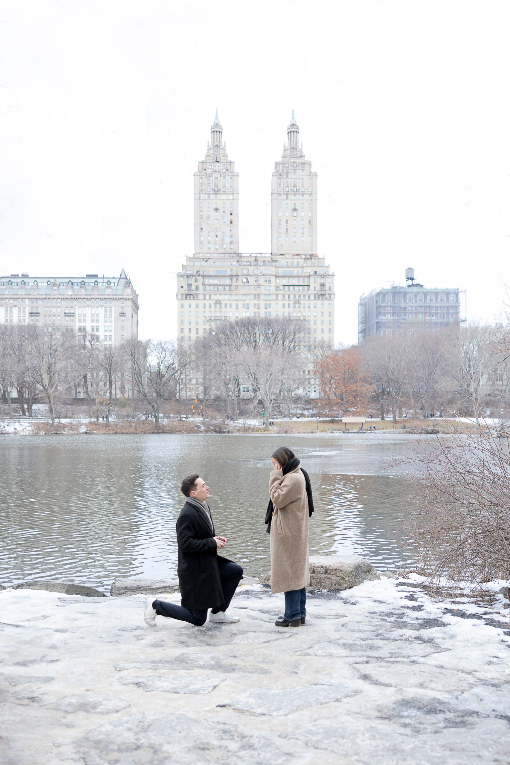 Manhattan Proposal at Central Park with him on his knees