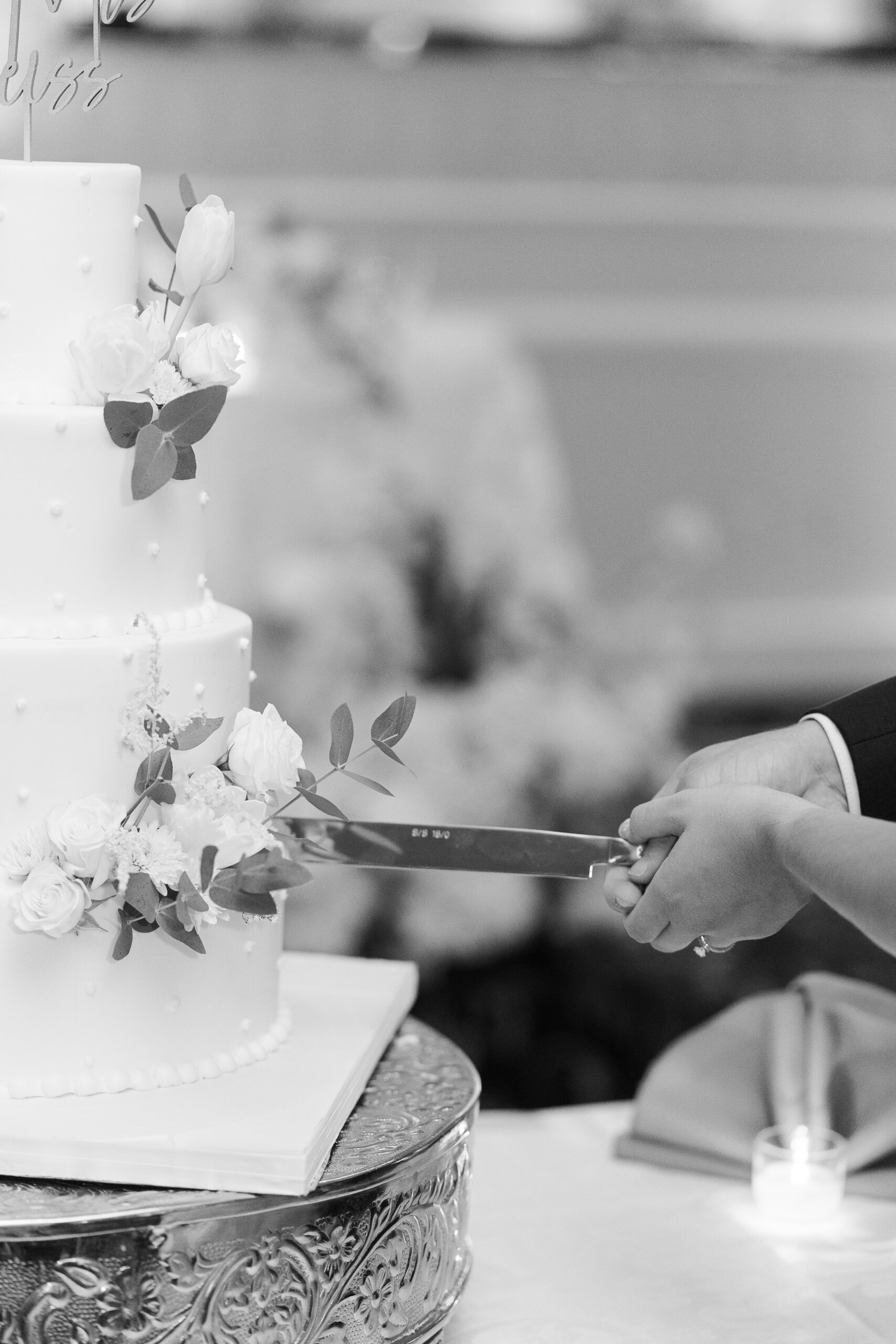 Bride and groom cake cutting at wedding reception