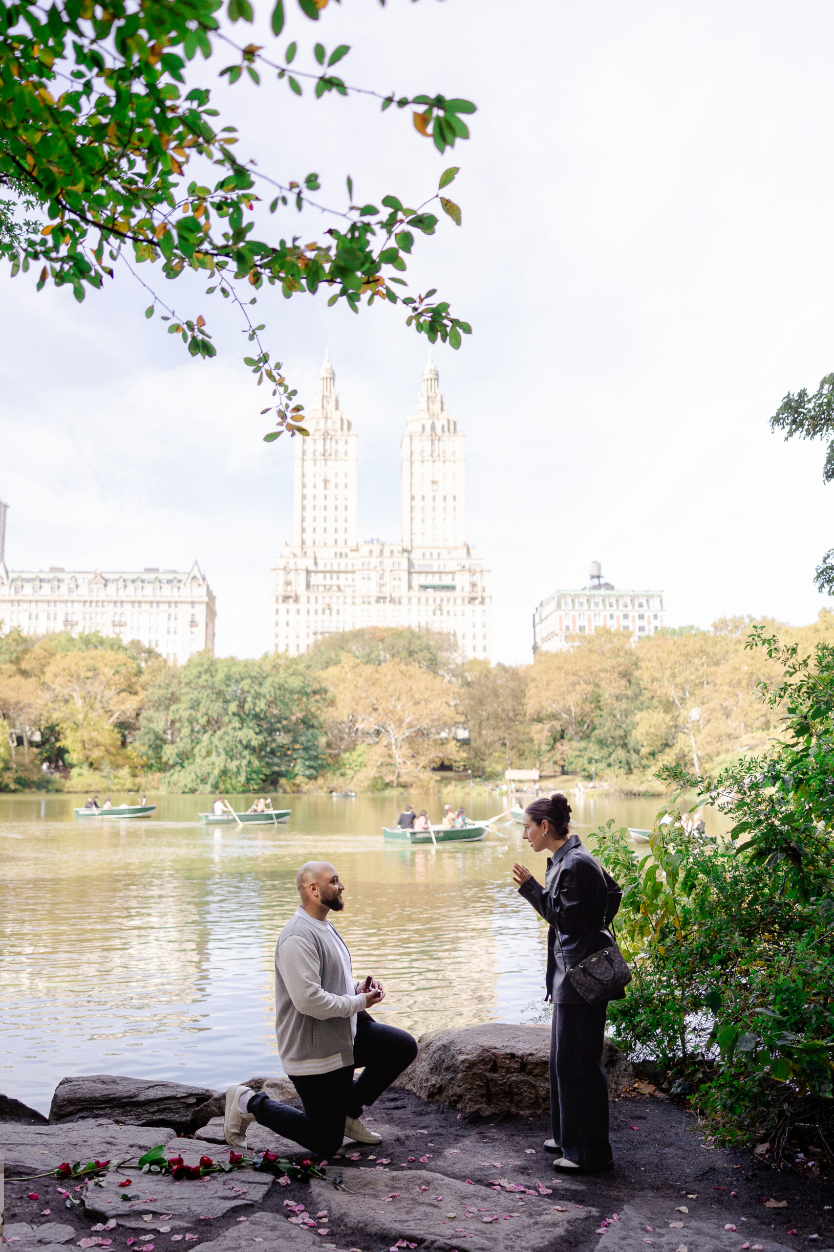 Surprise proposal in Central Park New York City
