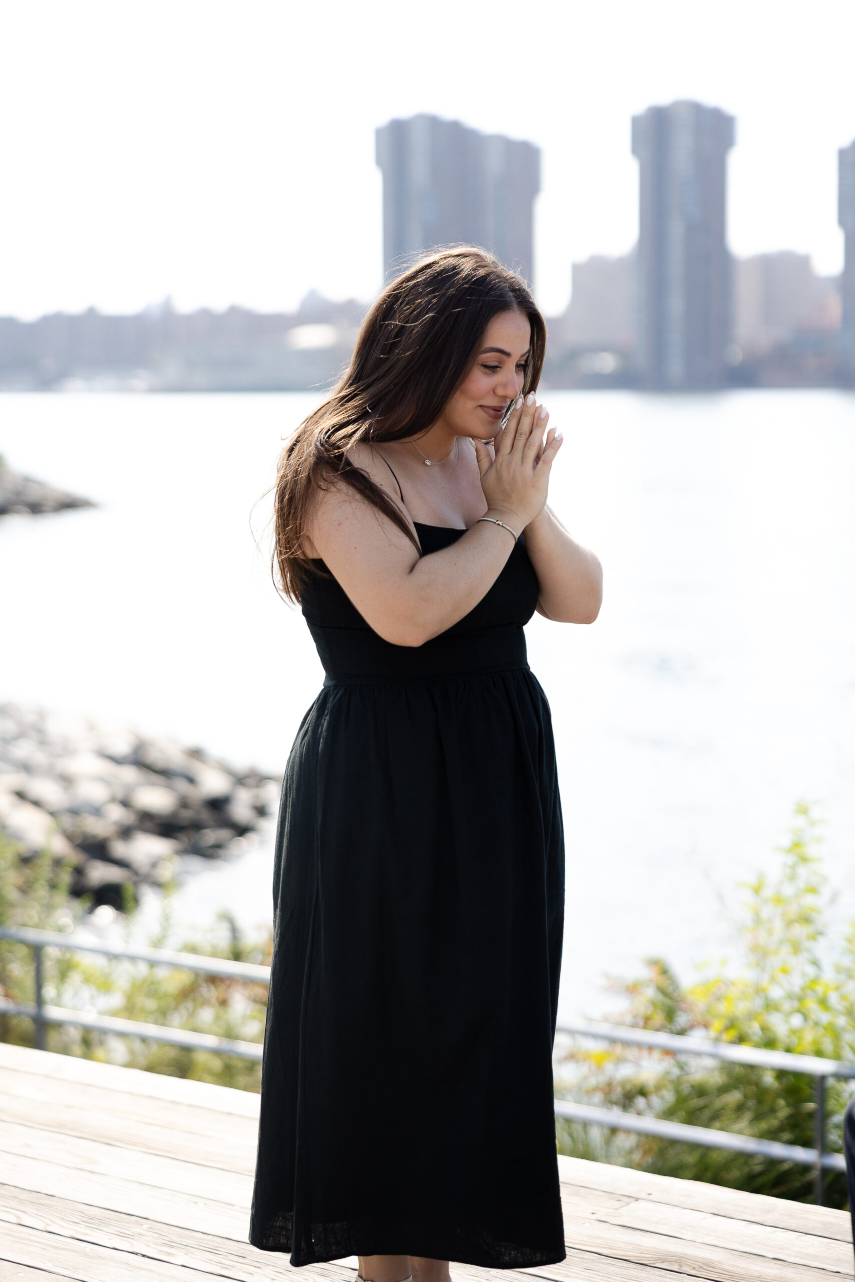 LIC Surprise Proposal in NYC