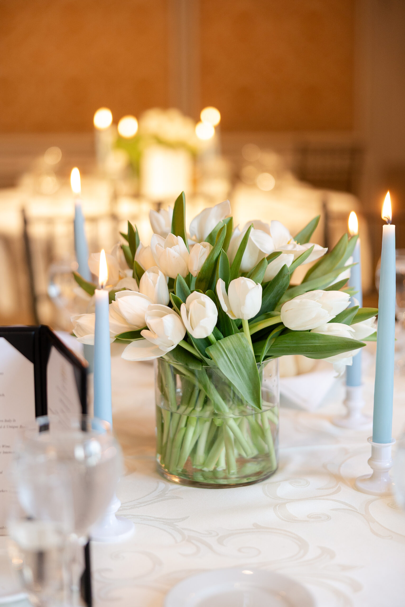 VIP Country Club wedding reception