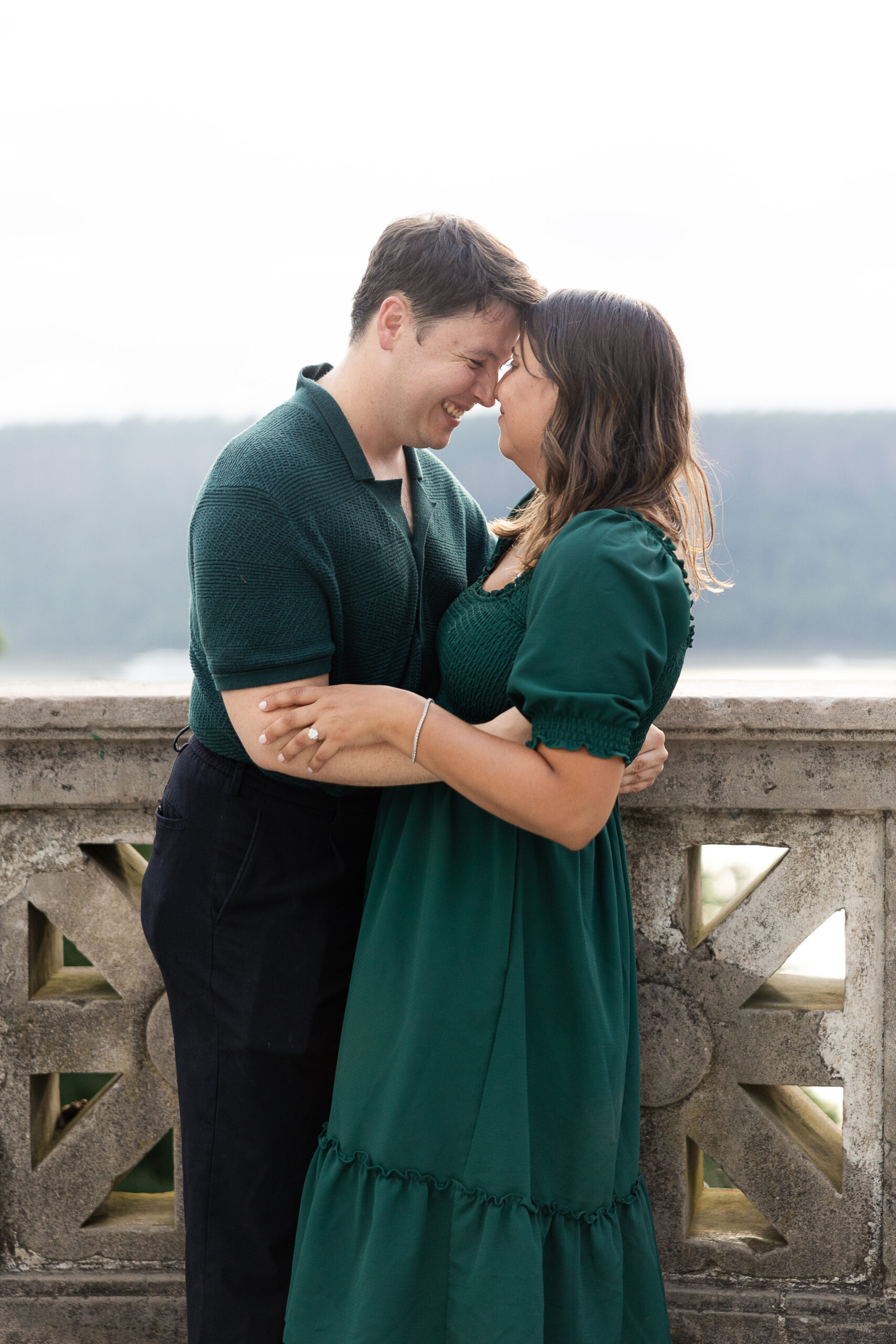 Yonkers Surprise Proposal