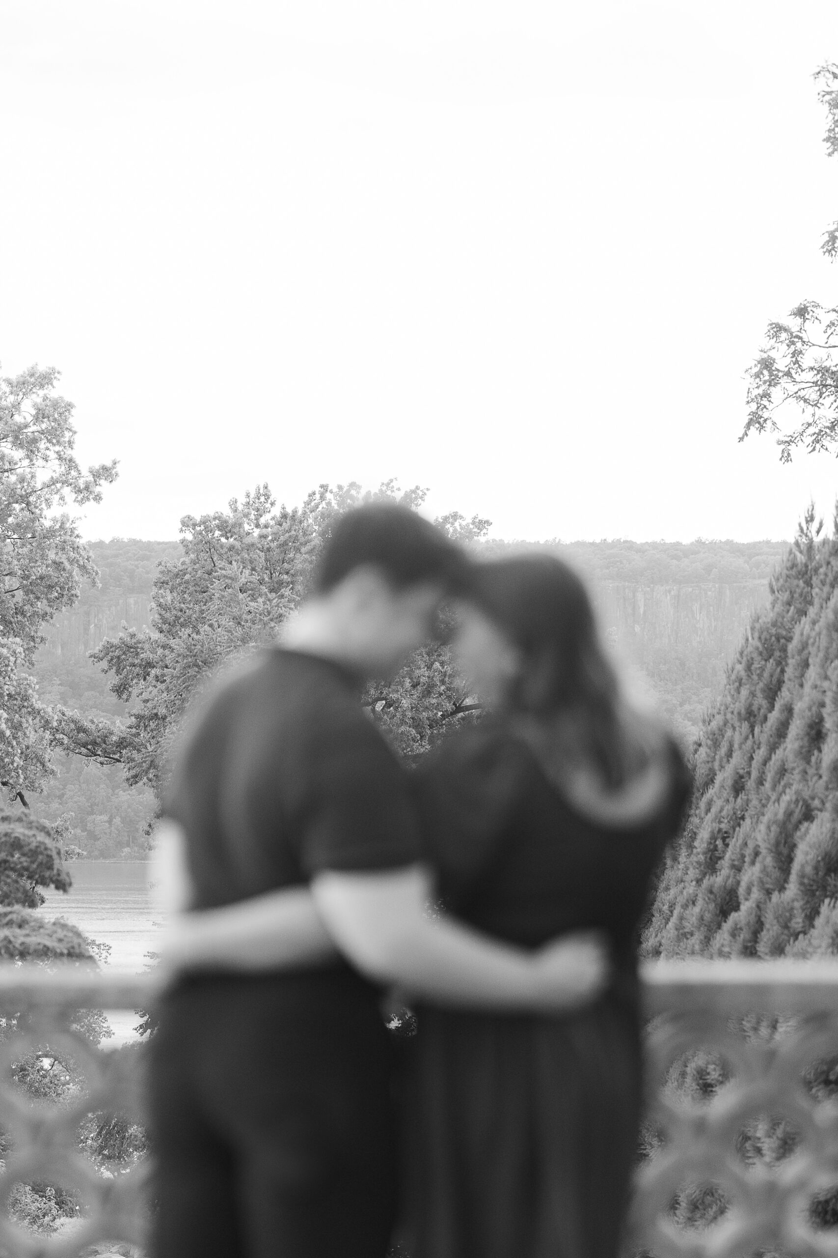 Yonkers Surprise Proposal