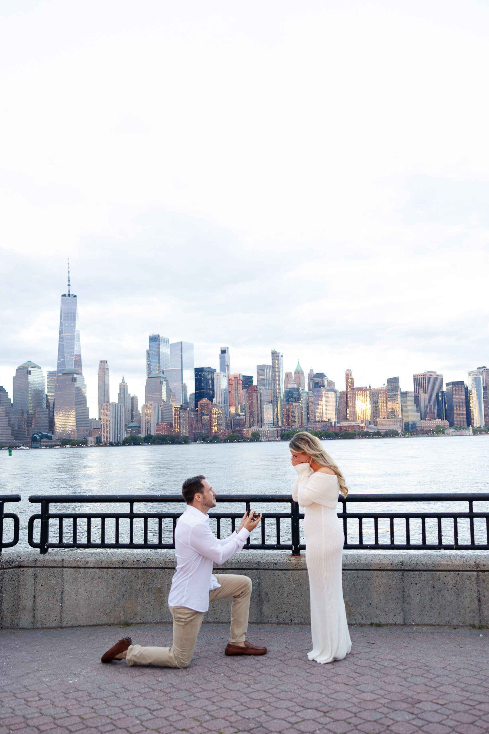 Liberty State Park surprise proposal